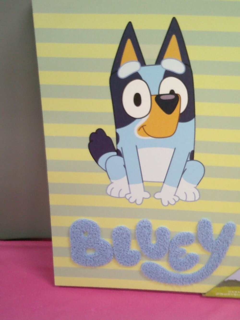 Bluey Picture